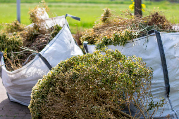 Best Affordable Junk Removal Services  in Westhaven Moonstone, CA